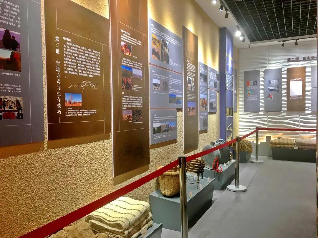 民勤县博物馆专题展《边塞诗史——民勤骆驼客》开展