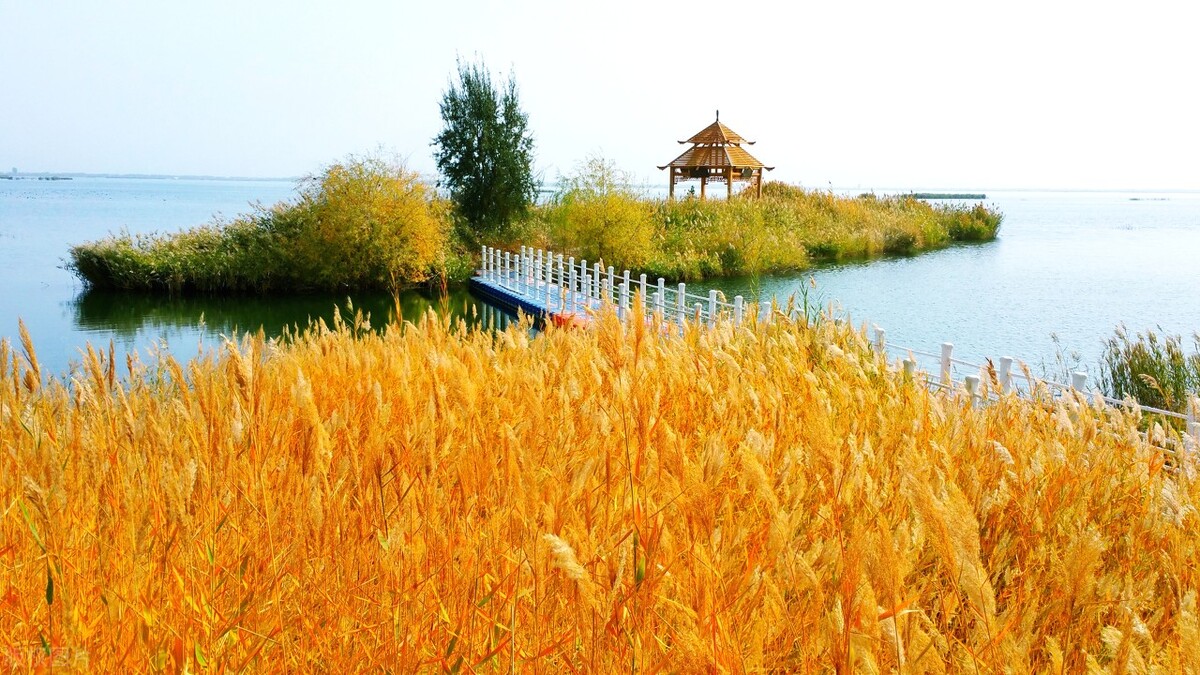 9月不可错过的这15处初秋美景，领略中国最美的秋色，美得不像话插图18