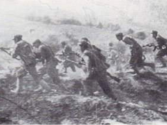 流落金三角的国民党残军：从“扎根”到“覆灭