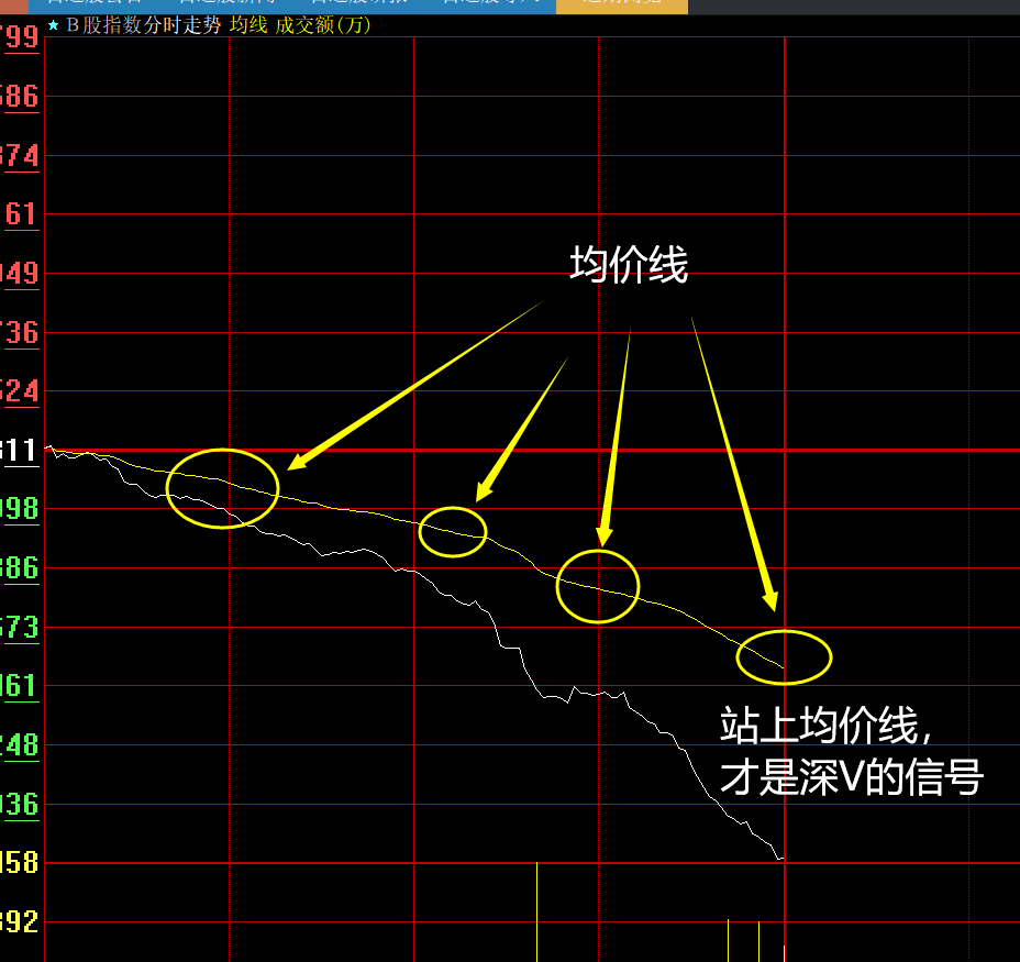 卧槽：B股指数暴跌7%