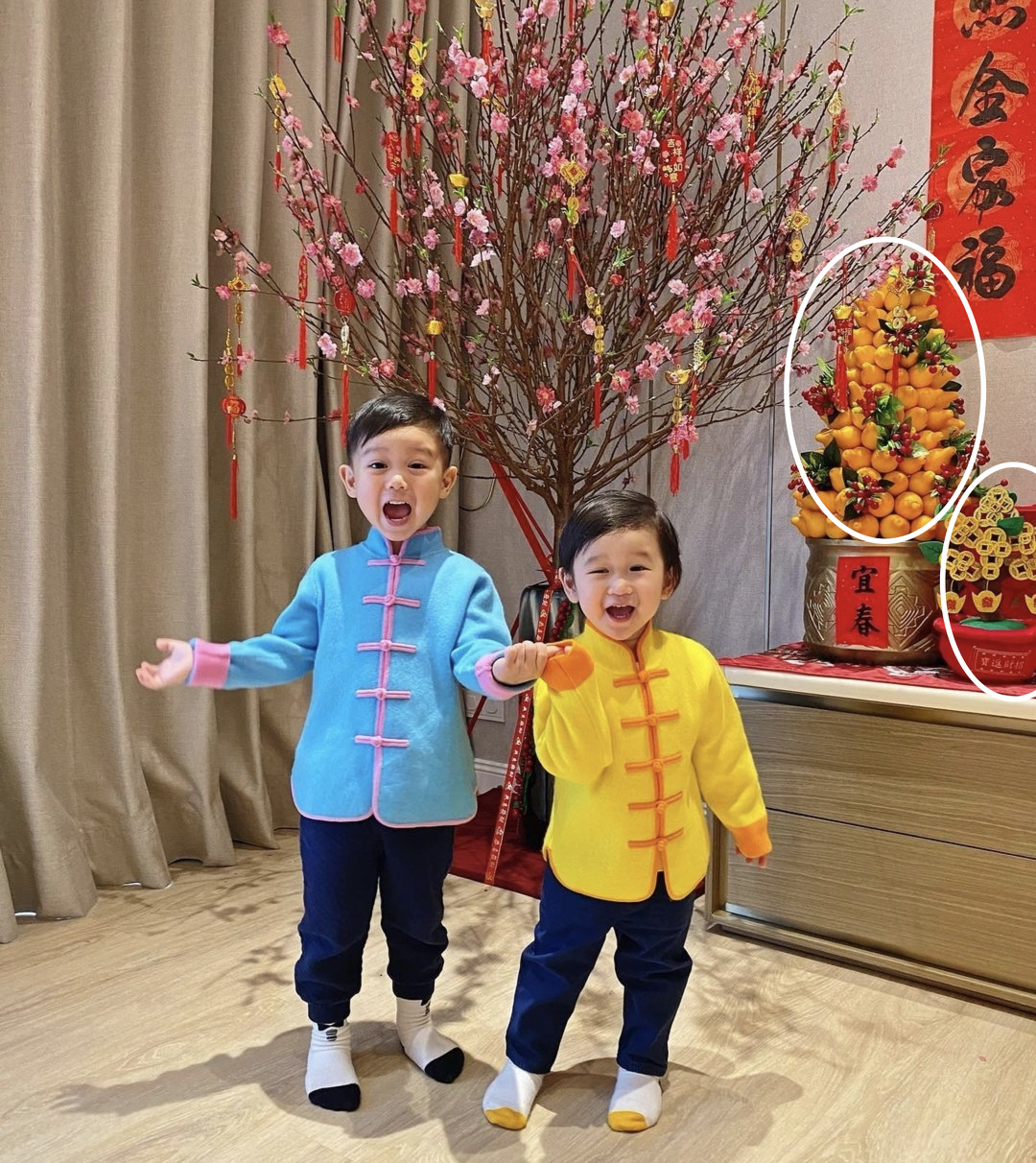 胡杏兒丈夫持家有道，攜倆兒子穿唐裝超喜慶，家種搖錢樹年味十足