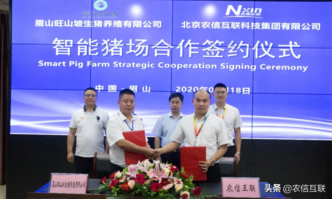 线上518战役，线下签约落地！眉山1亿智能猪场项