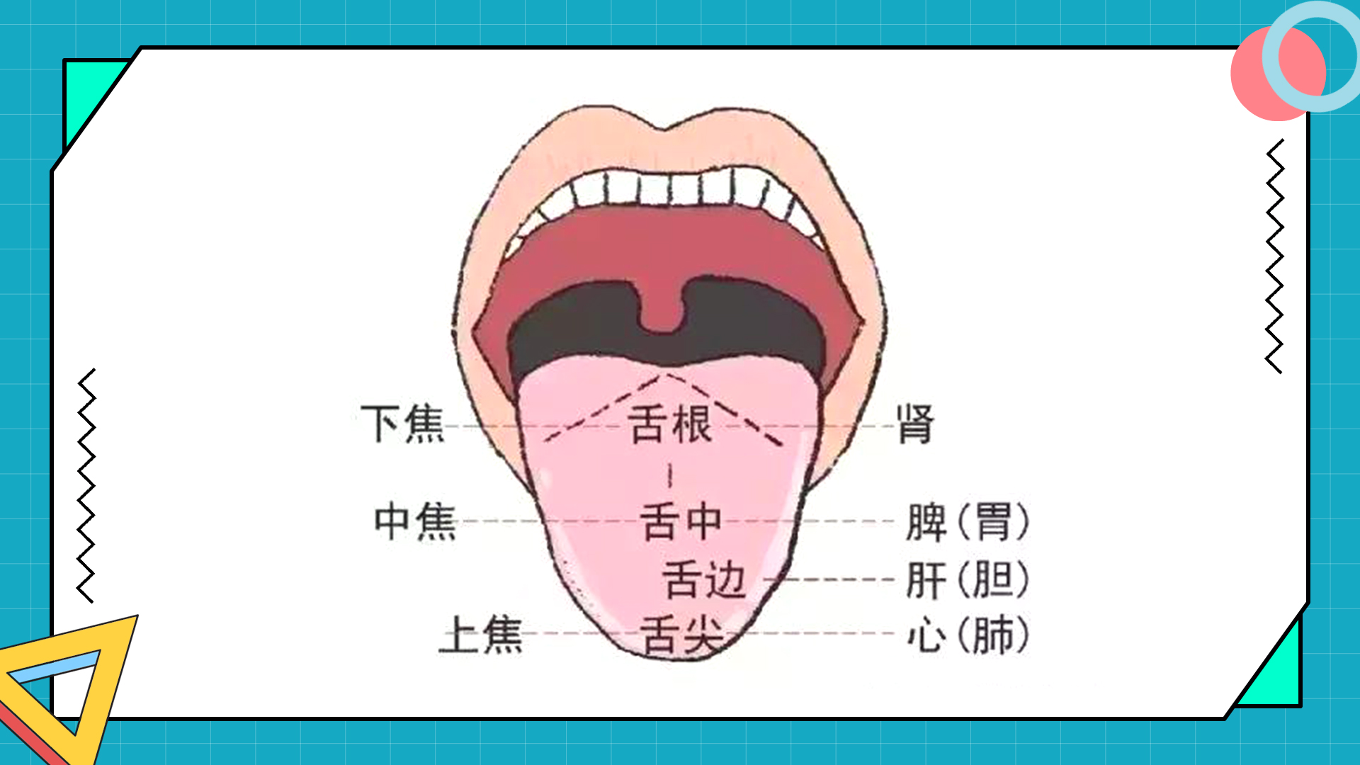 舌頭有裂紋，主要是這6個原因造成的，中醫6個小方可以治療