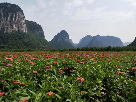 广西上林县：脱贫致富感党恩 民族团结瑶村富
