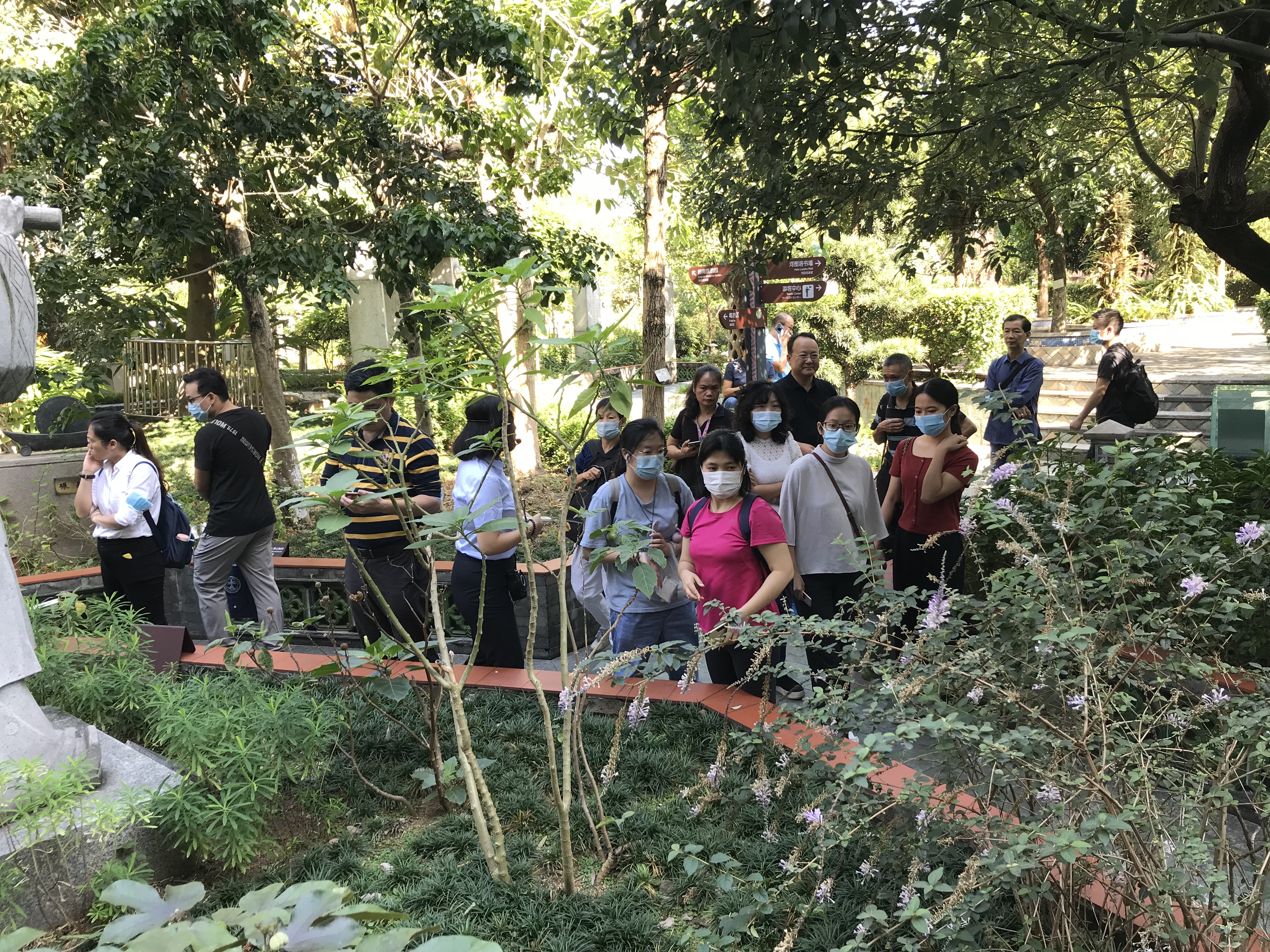 "商鉴会"走进神农草堂中医药博物馆，开展特色药用植物学习活动