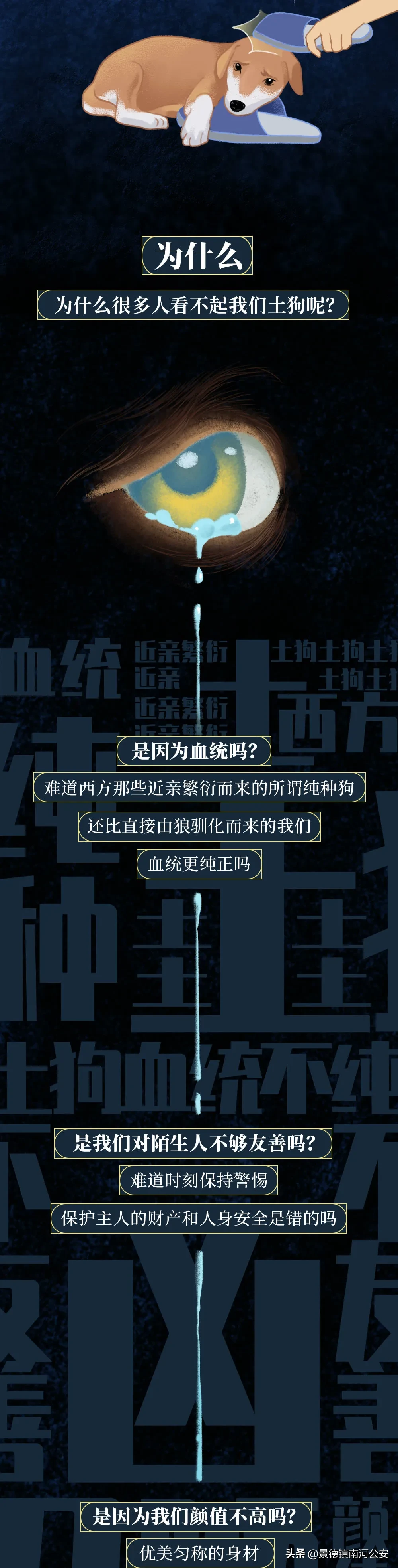 你凭什么看不起中国土狗？
