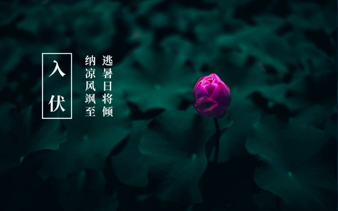 今夏入伏，你知道古人写了哪些有关三伏的诗？-第8张图片-非凡网