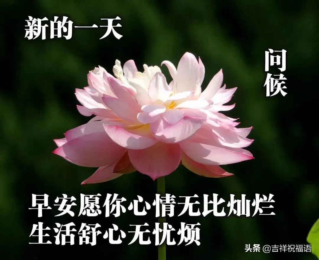 早晨好唯美图 早上好的图片表情带问候句子