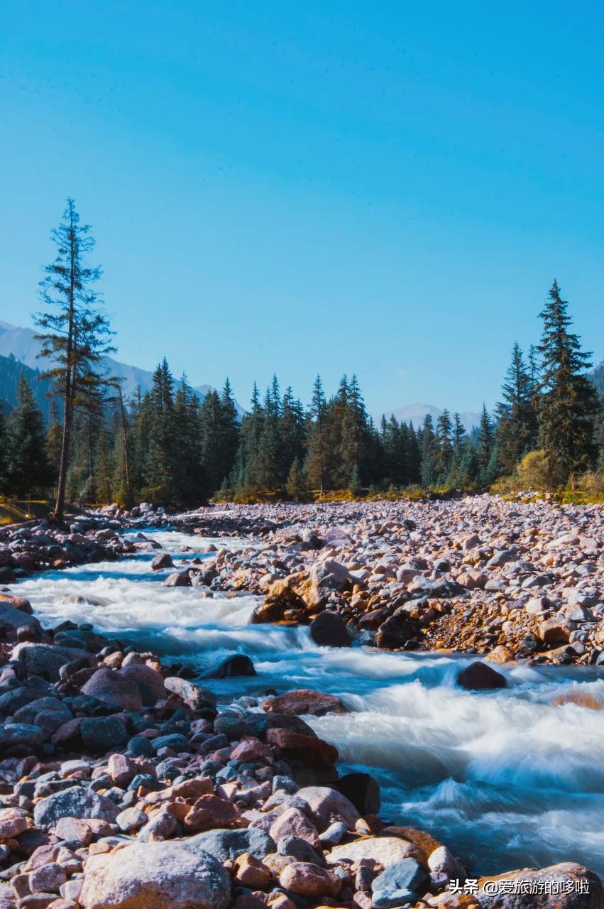 青海值得旅游的地方 青海湖最佳旅游月份(圖28)