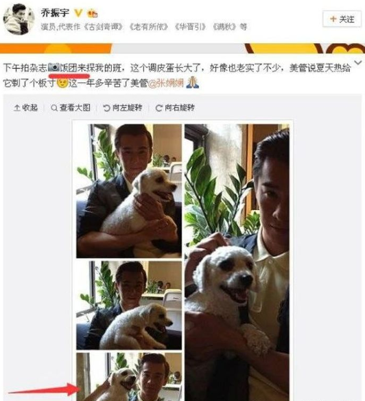 王丽坤于和伟陷“夜光麻将”，乔振宇摆脱骂名，还好林更新跑的快