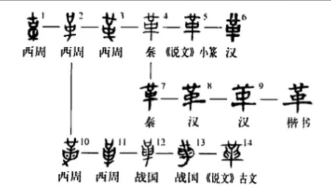 革 字甲骨文及其含義 資訊咖