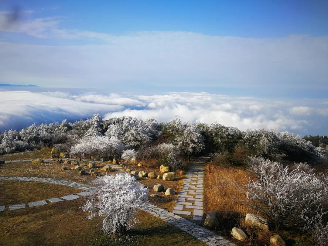 美哭｜3月2日天岳幕阜山现大面积雾凇美景，晶莹剔透美极了.