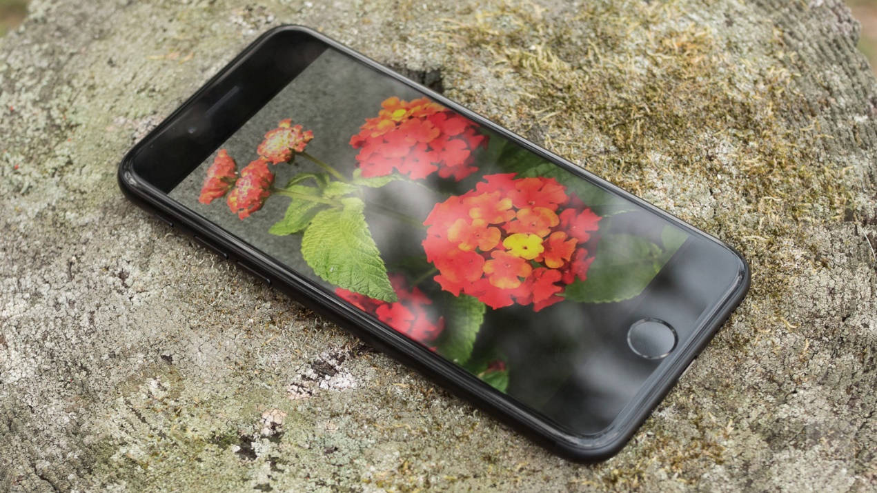 iPhone 7早已沦落“千元手机”，网民：再用2年没工作压力？