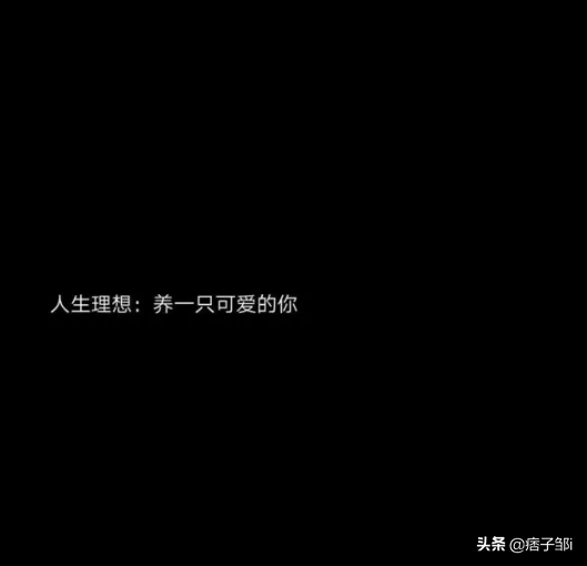 十个字的唯美句子 月黑沙黄，此际偏思汝图片
