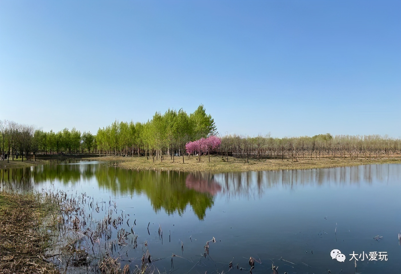 北京这些遛娃的好地方最适合野餐、搭帐篷！带大草坪的公园都在这