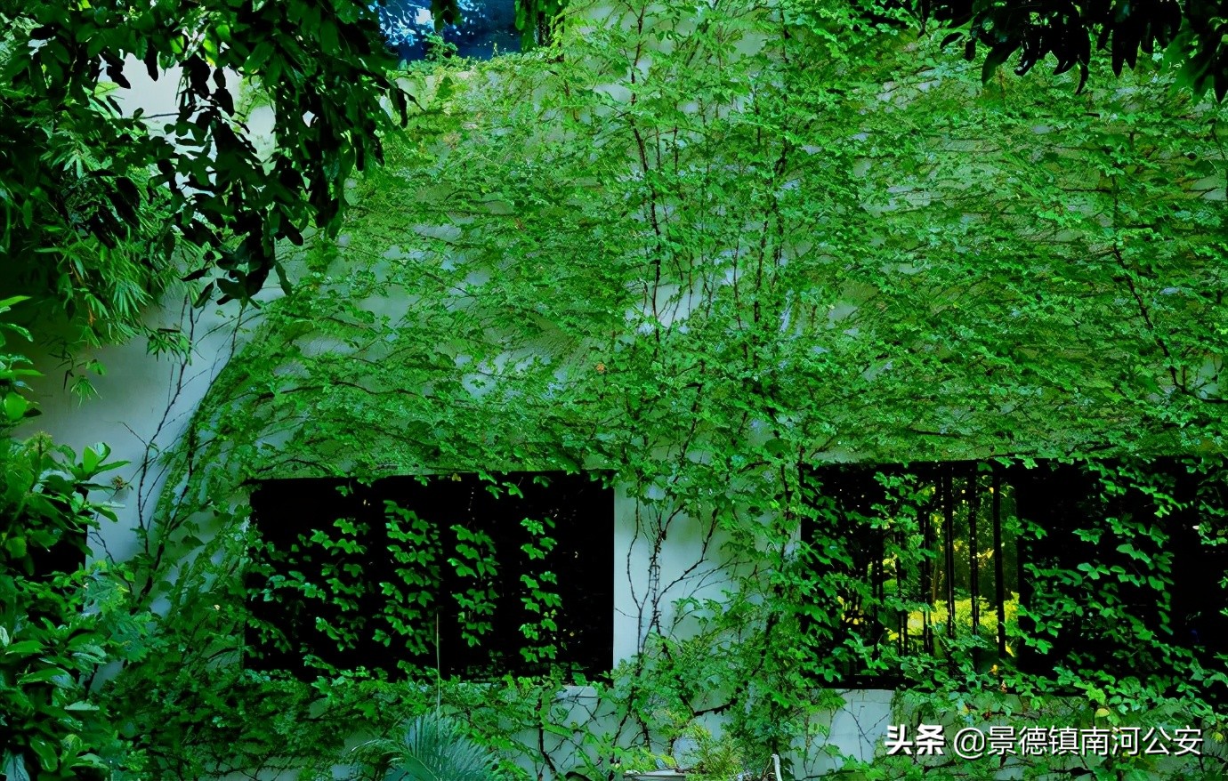描写山水的五言绝句-第2张图片-非凡网