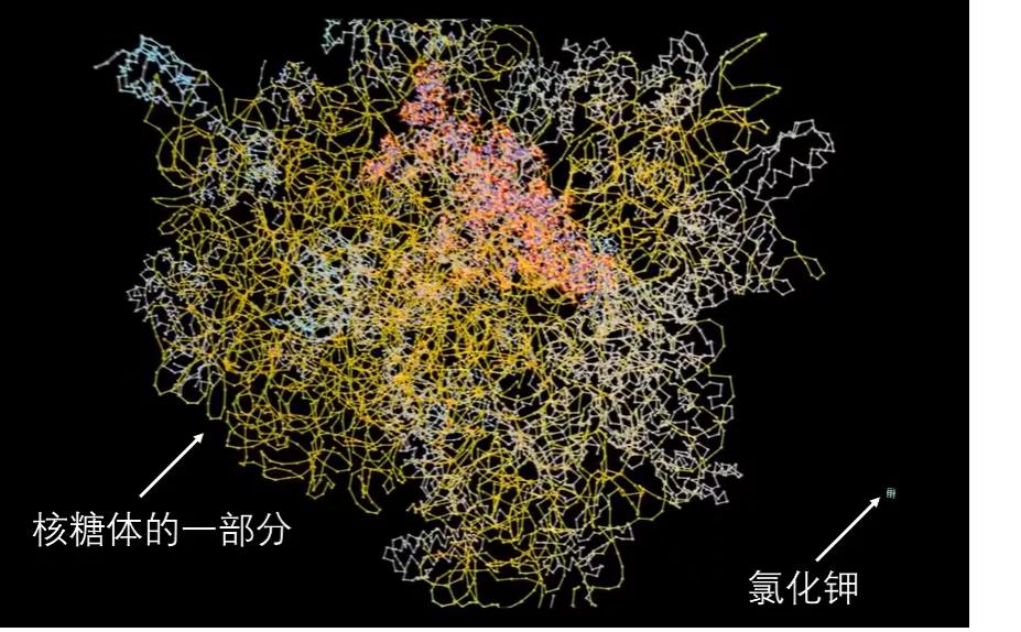 諾獎級特效藥開發(fā)就靠這個技術(shù)，沒有它，中國人青霉素都用不上？