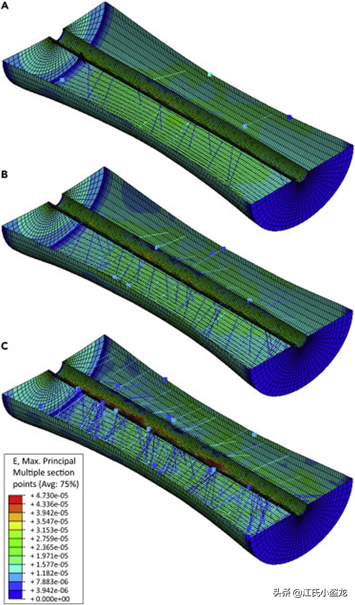古生物學家揭開超級翼龍脖子中的奧秘