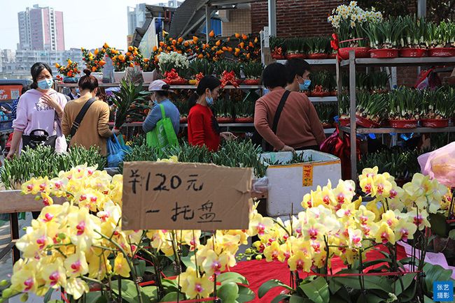 广州花市春节到逛广州最大的岭南花卉市场买盆年花就过年