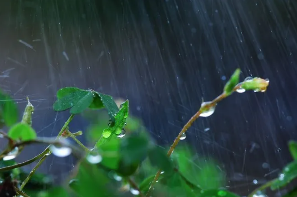 让小雨驱散夏日的炎热-第13张图片-非凡网