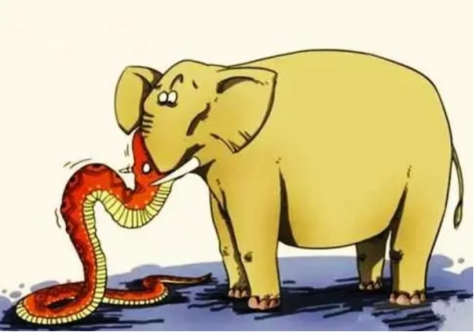 snake eating elephant