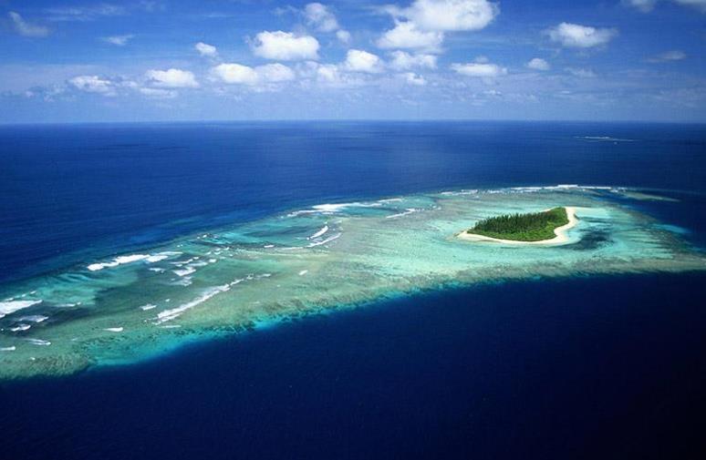 �й����ڶ�������ӭ��������������ֽ�ֻ���룬�Ϻ�άȨ���±���