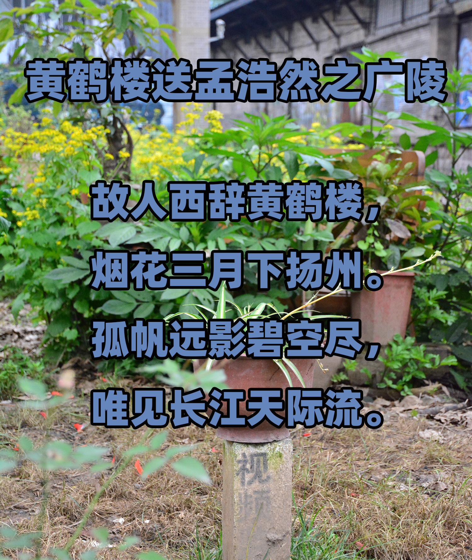 存在于古诗词中的扬州，古代知名度超高，现在只能活在自己的世界