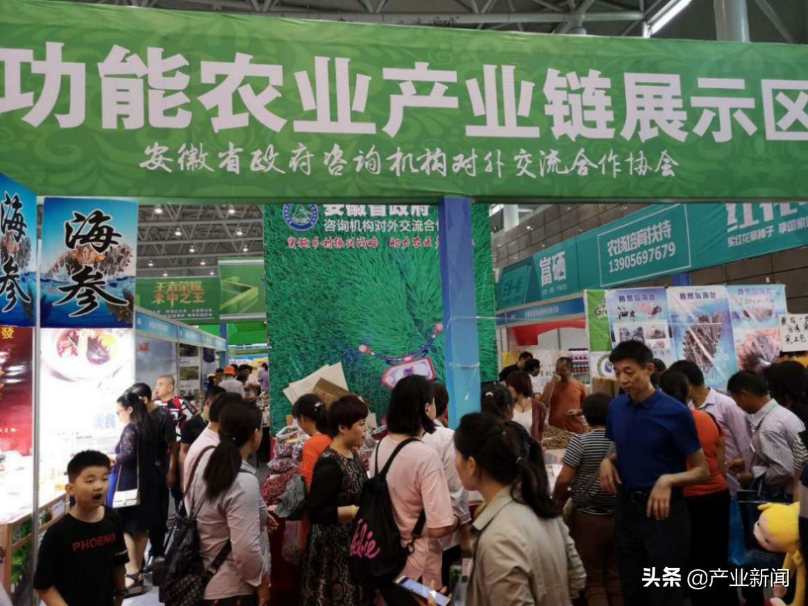 （安徽省）富硒稻米发展可行性报告——种植特