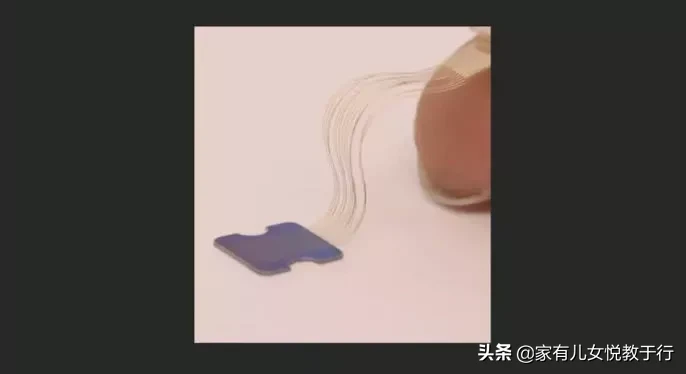 刚刚马斯克突然宣布，这项最新技术将彻底改变人与机器的交互方式