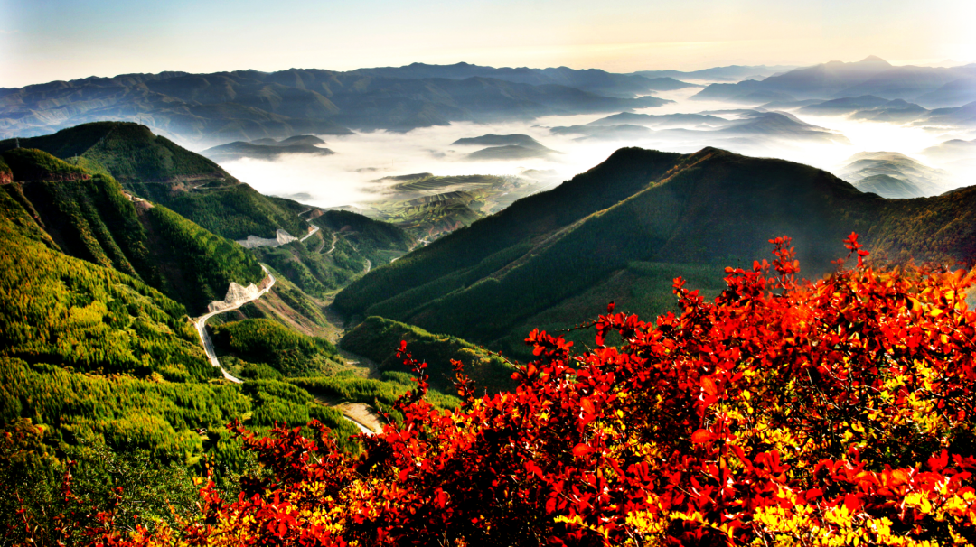 宁夏旅游的精华全藏在这些地方！曾经的荒凉之地，如今美若仙境