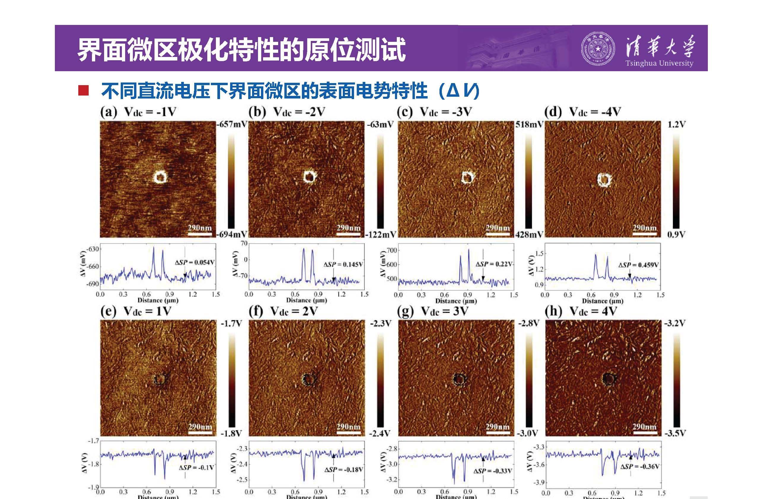 清华大学李琦副教授：介电纳米复合材料界面微区的原位测试技术