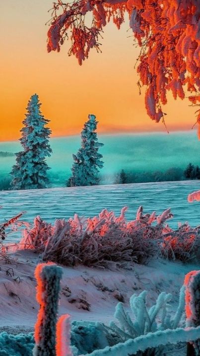 冬日有情还可爱，最美的冬日古诗词-第36张图片-诗句网