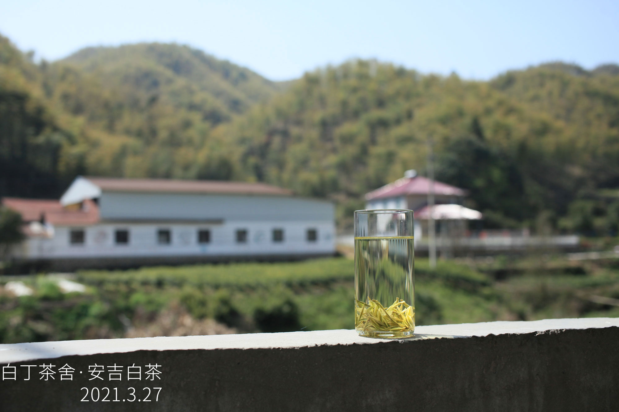 送人茶葉，如何讓別人知道茶葉很貴呢？