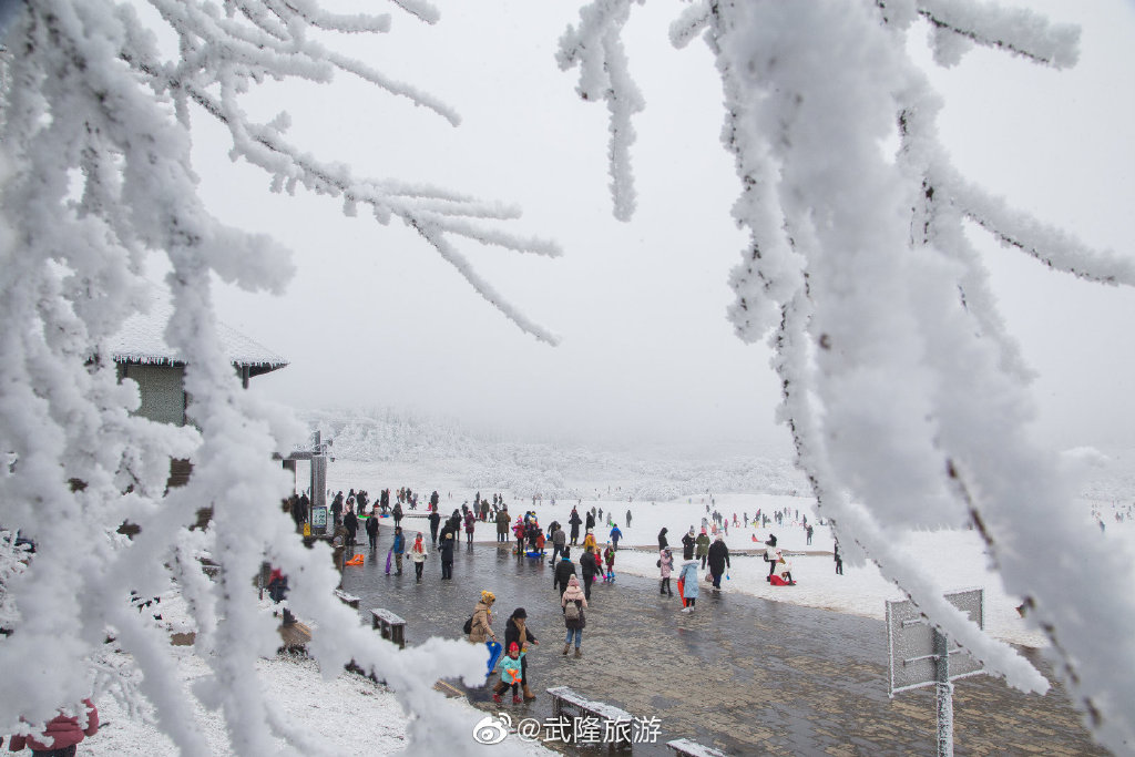 重庆冬季旅游的两极：去仙女山赏雪，去巫山看红叶，都有直飞航线