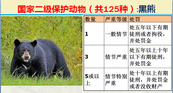 国家最新125类二级野生保护名录，图片及违法对应刑责