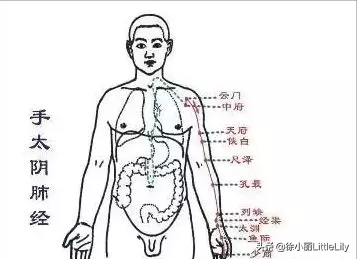 看故事快速记忆“十二经络及穴位”