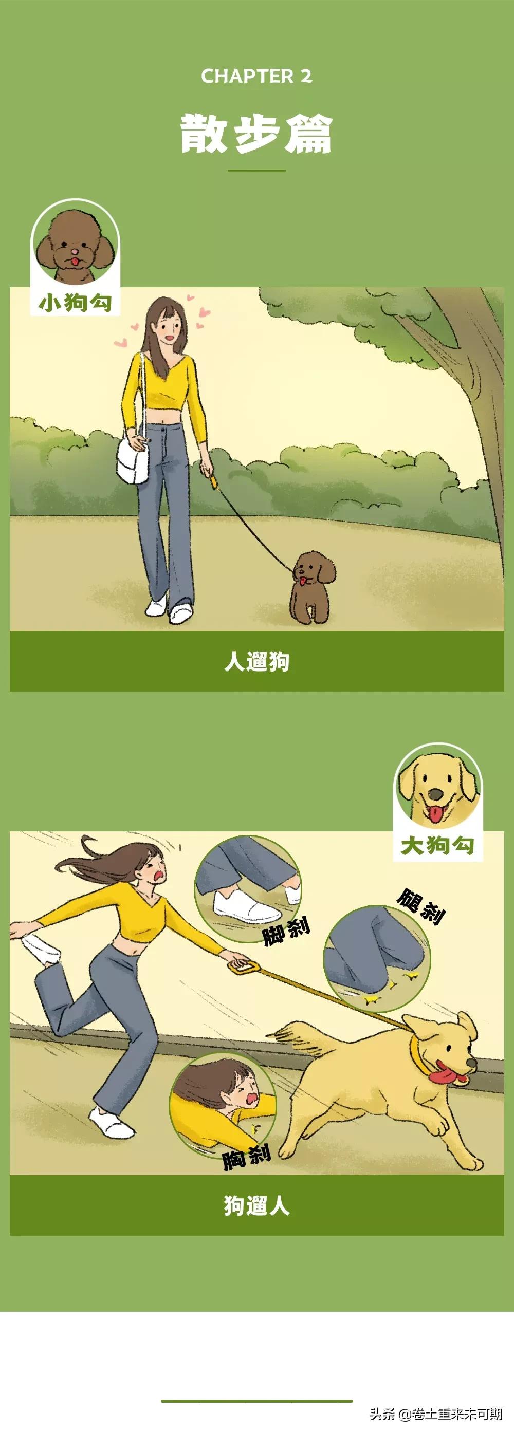 漫画：女生养大狗，对男朋友有什么坏处？