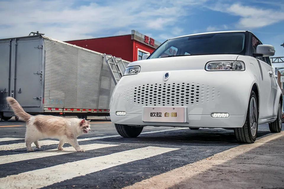 解码新营销密码：长城汽车的破圈和用户穿透力从何而来?