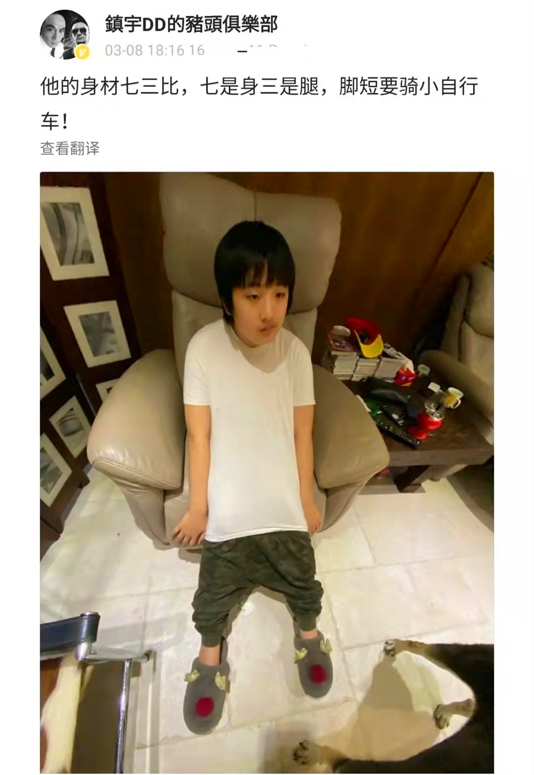 费曼、夏天变肉脸，石头成壮汉，《爸哪》萌娃