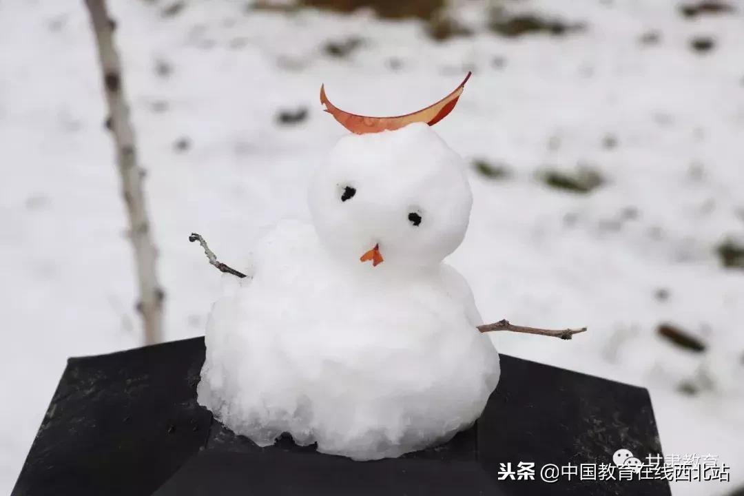 甘肃初雪|甘肃18所高校初学雪景大PK,快来看看有你的母校没?
