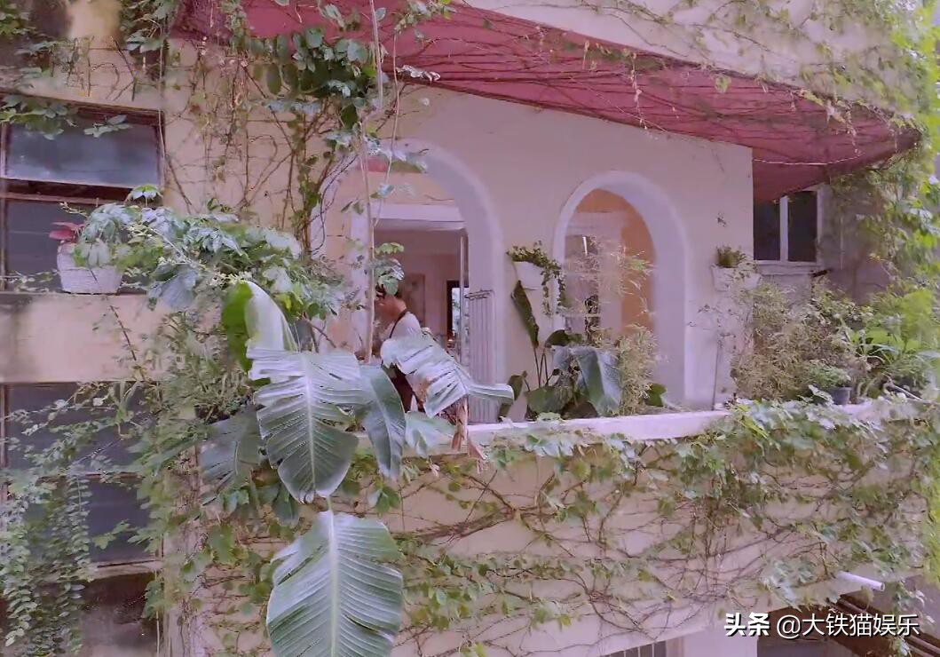 求求导演们来趟凡间吧，国产剧尽是卡里只剩1