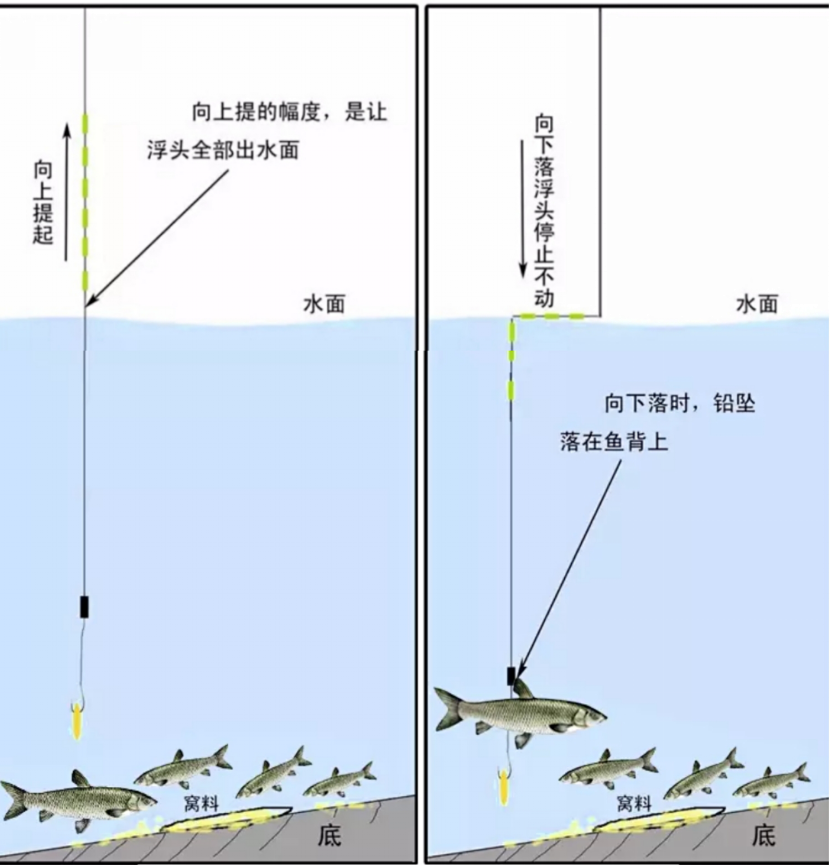 杨思举老师亲口传授野钓秘诀,谷钓之逗钓技巧详解 - 文章 - 今日钓鱼