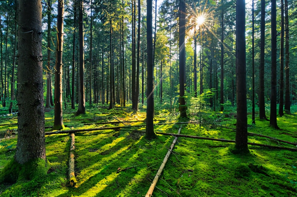 奇妙星空体育官网入口网站大科普，那些難以了解到的奇葩冷星空体育官网入口网站，你都知道了嗎？