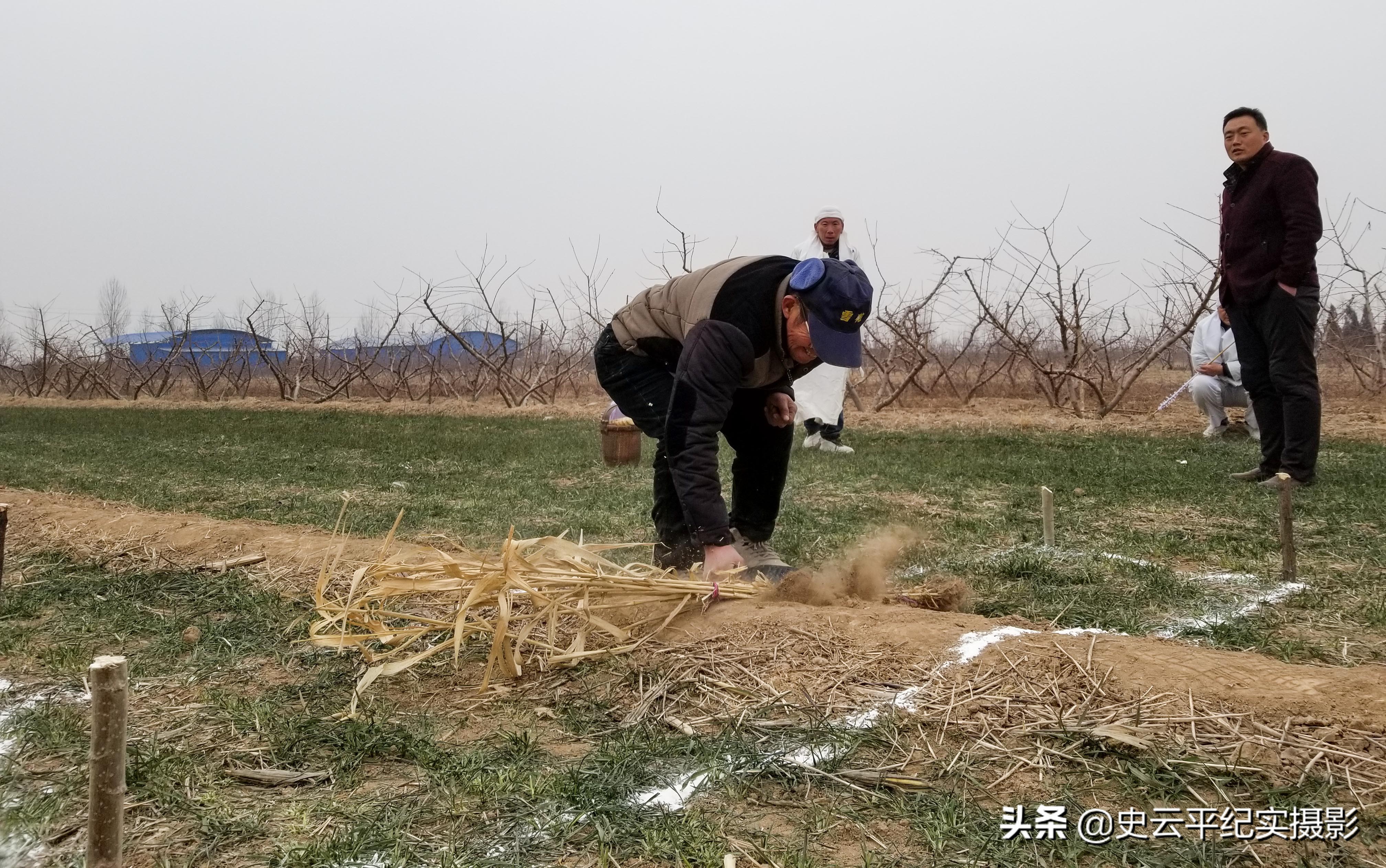 农村老人去世先生用高科技在地里规划坟院，这种风俗看你见过吗