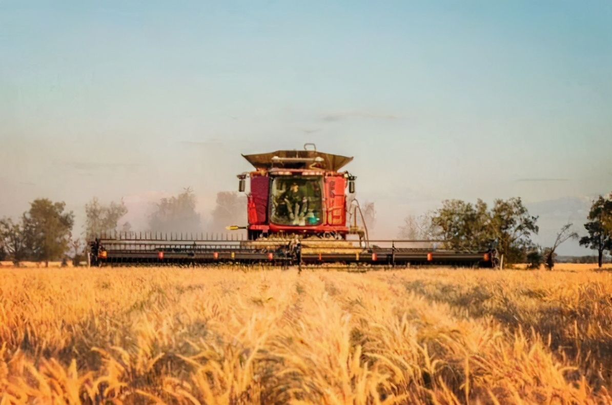 抓住澳洲的�不幸�，澳媒：其他國家在盡情共享中國的市場