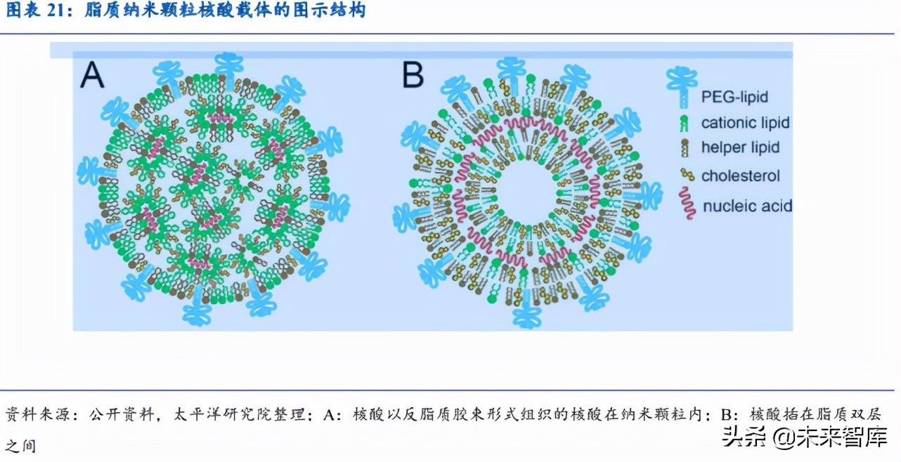 mRNA疫苗相关产业链价值分析：酶是价值链最大的一块