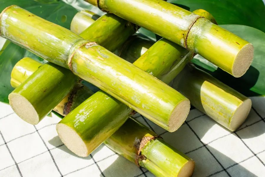 我淘到的这22种新奇水果，你不可能全吃过