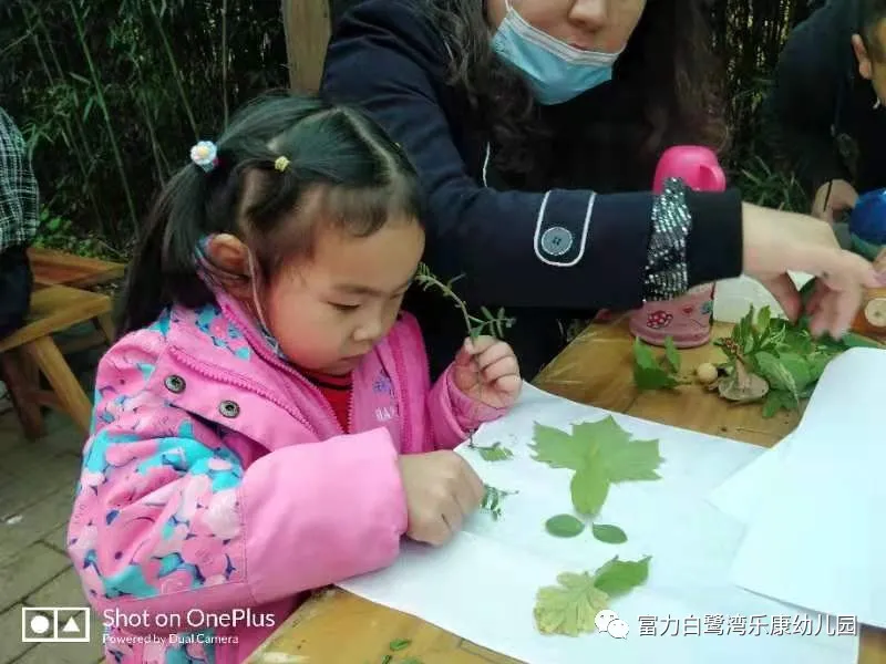 「活動回顧」:富力白鷺灣樂康幼兒園親子社會實踐活動走進新未來