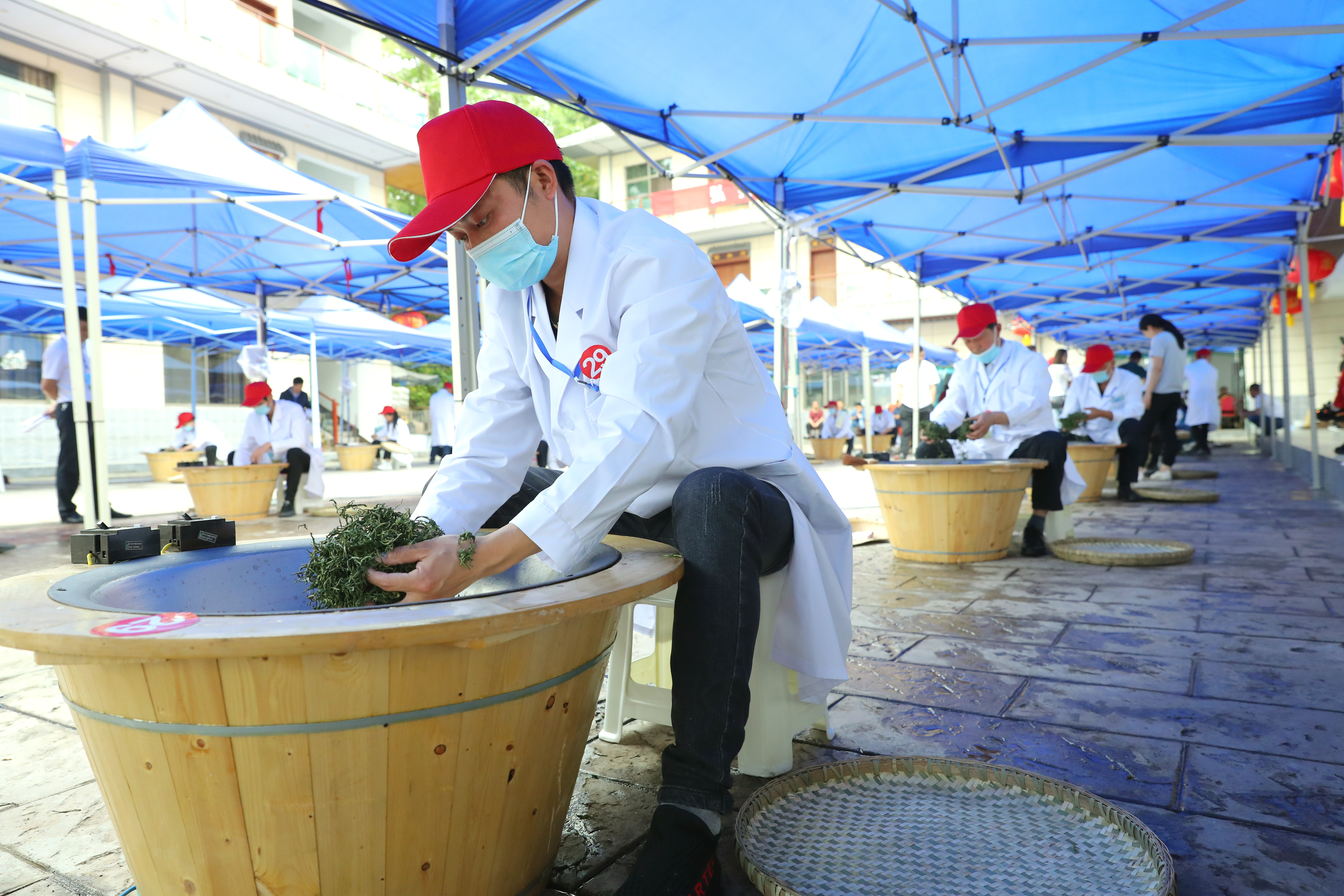 安康市首届“硒茶大师”手工制茶技能大赛汉滨开赛