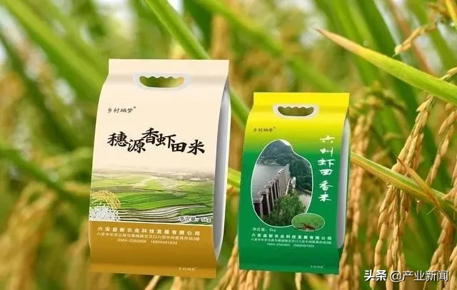 浅谈影视明星杨幂和桃优香占大米的相似之处